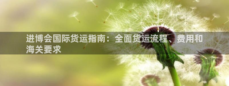 尊龙旗舰厅app：进博会国际货运指南：全面货运流程、费用