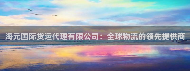 尊龙凯时台子：海元国际货运代理有限公司：全球物流的领先提