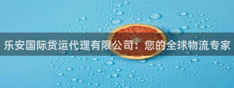 尊龙凯时贴吧：乐安国际货运代理有限公司：您的全球物流专家