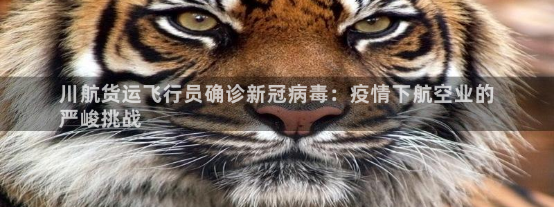 尊龙凯时人生就是搏技术实力：川航货运飞行员确诊新冠病毒：
