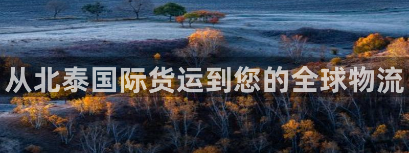 尊龙棋牌软件有挂吗：从北泰国际货运到您的全球物流
