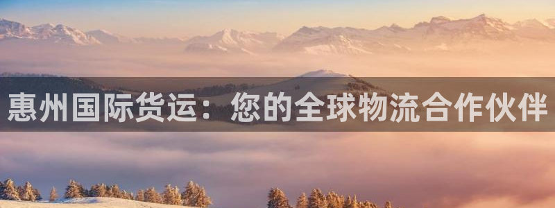 z6com尊龙凯时代理：惠州国际货运：您的全球物流合作伙