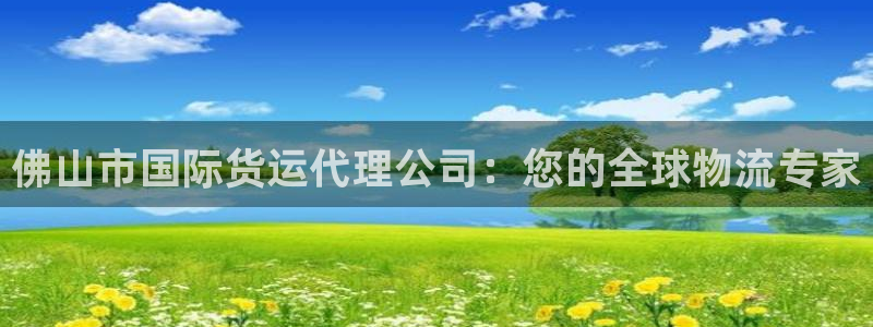尊龙这个平台怎么样：佛山市国际货运代理公司：您的全球物流