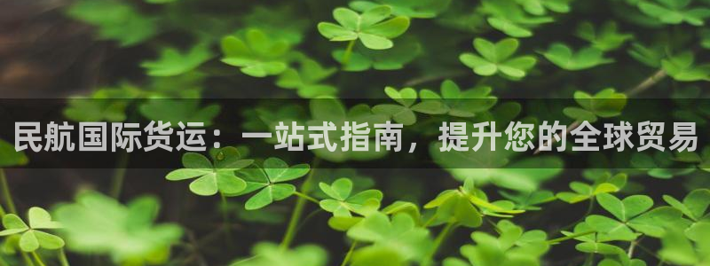 尊龙凯时官方网页：民航国际货运：一站式指南，提升您的全球