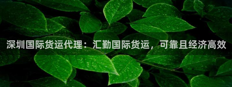 尊龙凯时 人生就是搏!平台：深圳国际货运代理：汇勤国际货