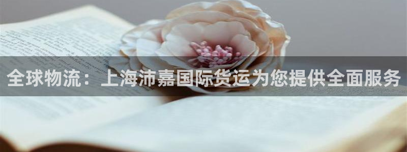 尊龙人生就是博旧版现：全球物流：上海沛嘉国际货运为您提供