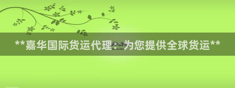 尊龙凯时提不了款：**嘉华国际货运代理：为您提供全球货运