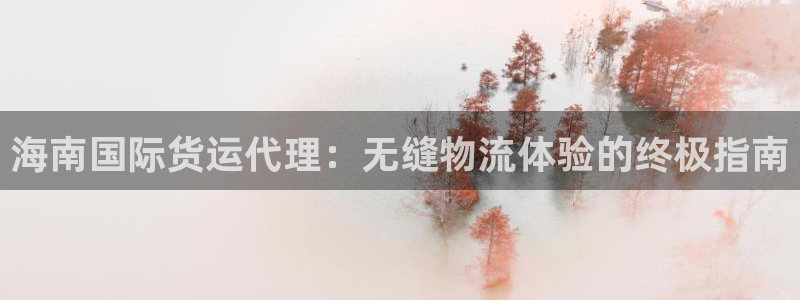 尊龙新版官网网页版：海南国际货运代理：无缝物流体验的终极