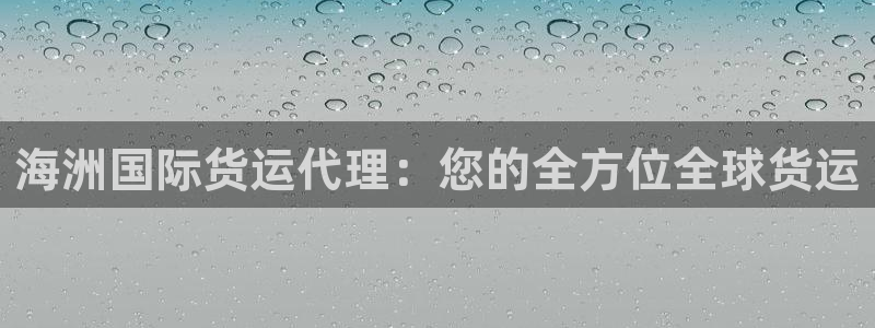 尊龙ag：海洲国际货运代理：您的全方位全球货运