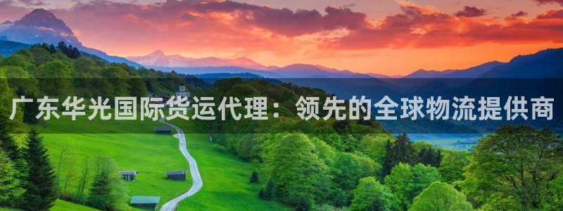 尊龙贴吧：广东华光国际货运代理：领先的全球物流提供商