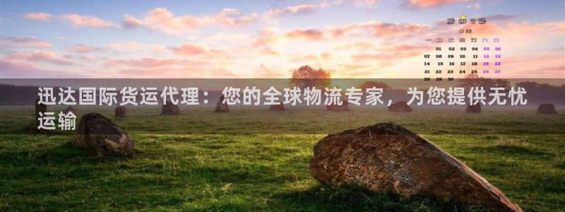 尊龙网平台：迅达国际货运代理：您的全球物流专家，为您提供