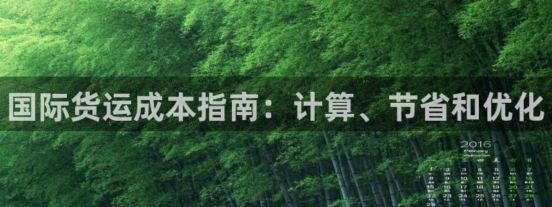 尊龙凯时提款冻卡吗：国际货运成本指南：计算、节省和优化