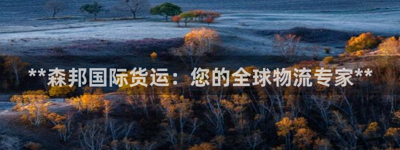 尊龙客服：**森邦国际货运：您的全球物流专家**