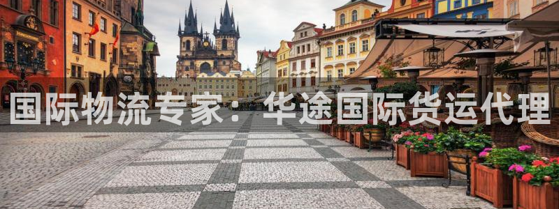 尊龙游戏官网：国际物流专家：华途国际货运代理