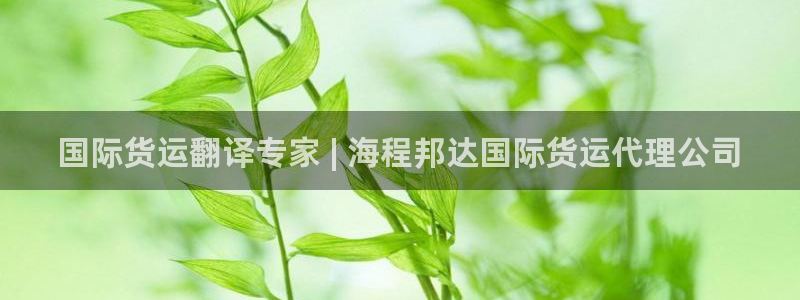 尊龙网站人生就是博：国际货运翻译专家 | 海程邦达国际货