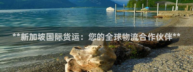尊龙最近一次露面：**新加坡国际货运：您的全球物流合作伙