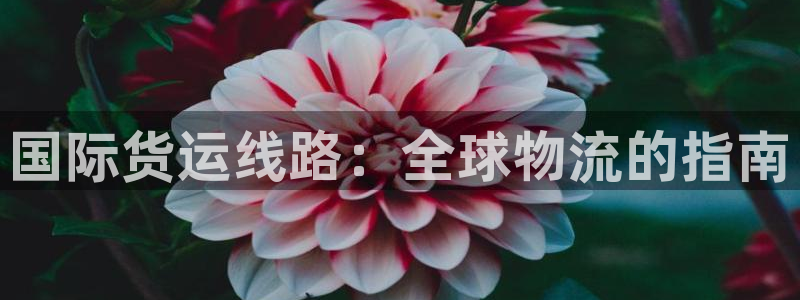 尊龙人生就是博送38：国际货运线路：全球物流的指南