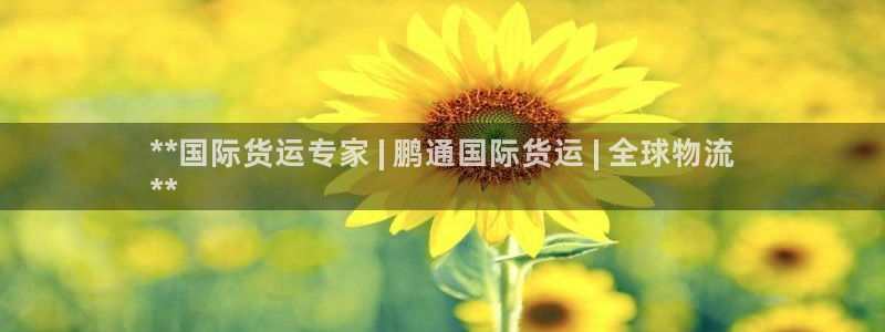 尊龙现金：**国际货运专家 | 鹏通国际货运 | 全球物