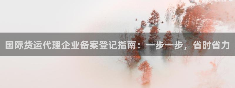 尊龙ag旗舰官网：国际货运代理企业备案登记指南：一步一步