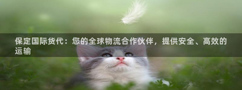 尊龙人生就是博现金：保定国际货代：您的全球物流合作伙伴，