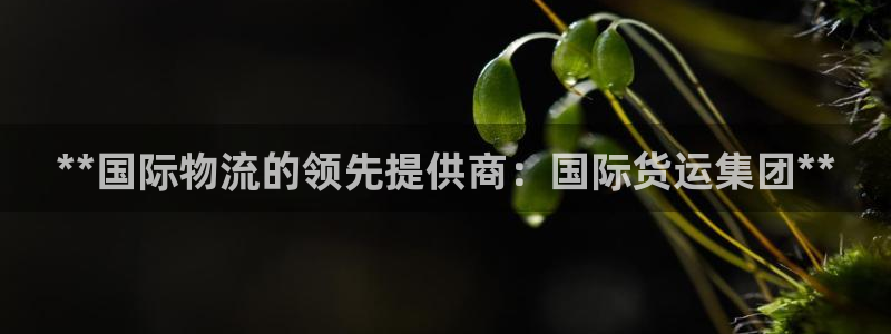 尊龙凯时法充十万返现多少：**国际物流的领先提供商：国际