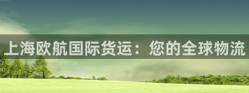 尊龙凯时人生就是博·(中国)官网：上海欧航国际货运：您的