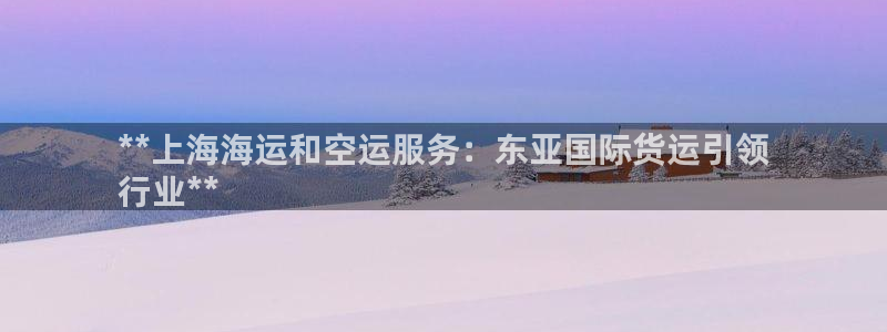 尊龙集团有限公司官网地址：**上海海运和空运服务：东亚国