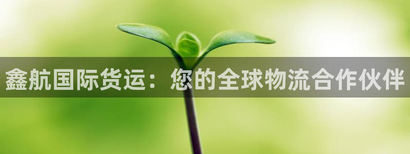尊龙165：鑫航国际货运：您的全球物流合作伙伴