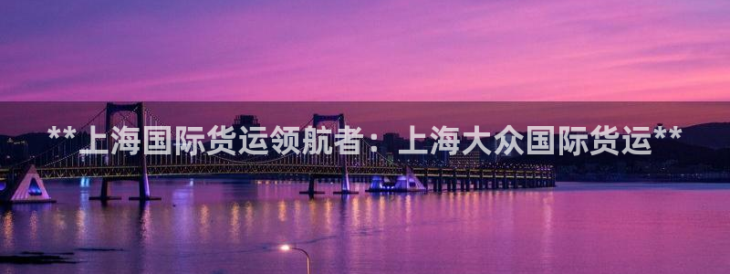 尊龙官方app下载：**上海国际货运领航者：上海大众国际