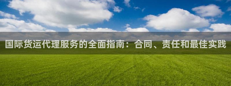 d88尊龙官方网：国际货运代理服务的全面指南：合同、责任