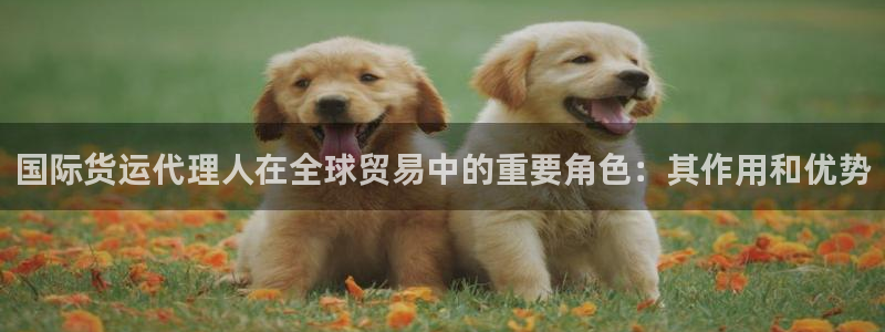 尊龙凯时城娱乐：国际货运代理人在全球贸易中的重要角色：其