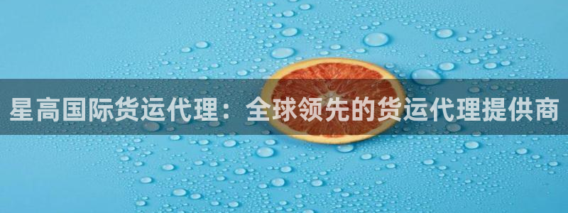 尊龙凯时是不是合法：星高国际货运代理：全球领先的货运代理