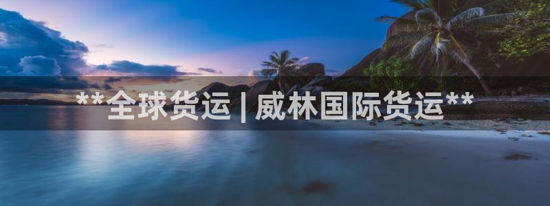 ag旗舰平台尊龙代言：**全球货运 | 威林国际货运**