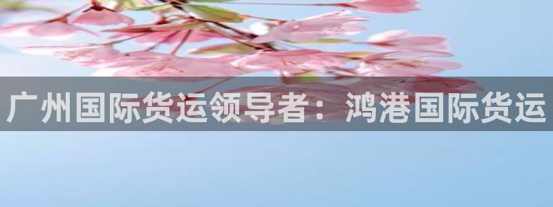 尊龙人生就是博中国区：广州国际货运领导者：鸿港国际货运