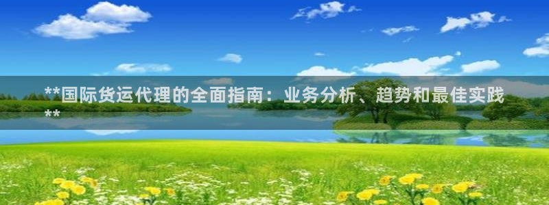 尊龙人生就是博i可靠吗：**国际货运代理的全面指南：业务