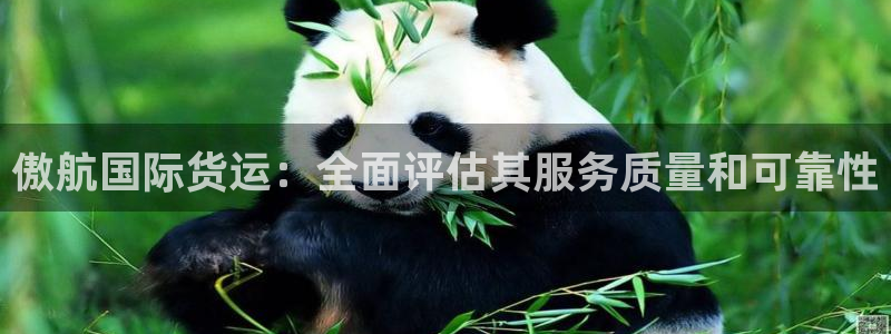 尊龙网平台：傲航国际货运：全面评估其服务质量和可靠性
