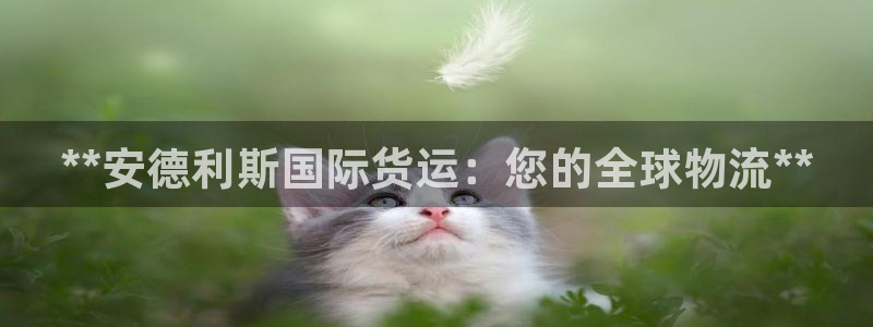 尊龙凯时福米推荐人：**安德利斯国际货运：您的全球物流*