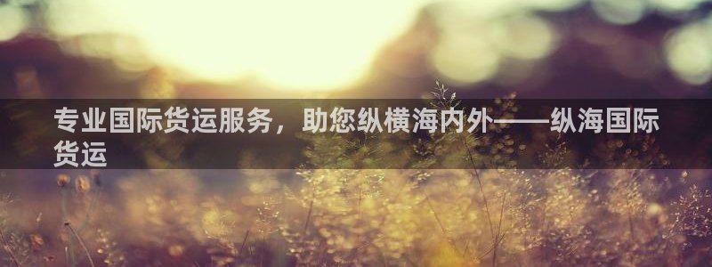 尊龙网址是选访问zd207：专业国际货运服务，助您纵横海