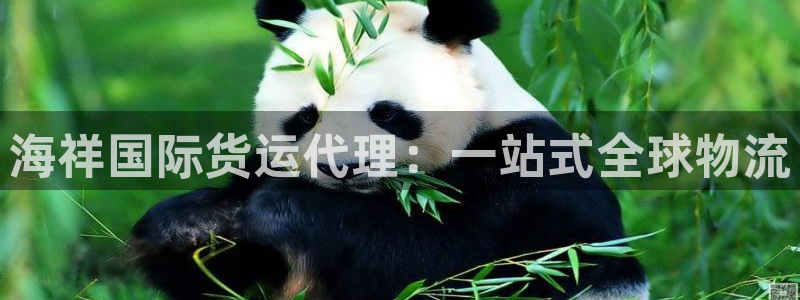 尊龙人生就是博一下首页：海祥国际货运代理：一站式全球物流