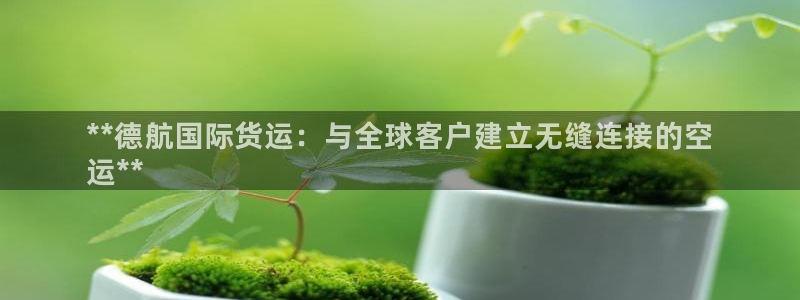 尊龙人生就是博现金：**德航国际货运：与全球客户建立无缝
