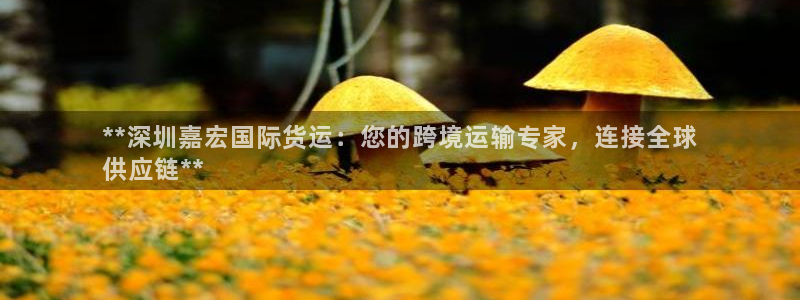 旧版尊龙人生就是博下载：**深圳嘉宏国际货运：您的跨境运