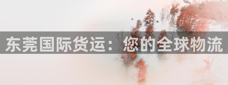 尊龙服饰有限公司地址：东莞国际货运：您的全球物流
