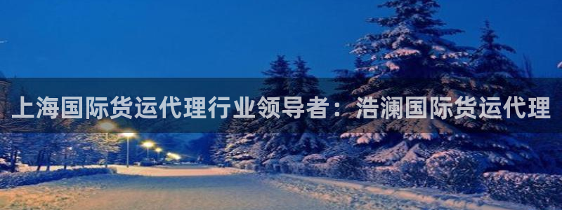 尊龙凯时网：上海国际货运代理行业领导者：浩澜国际货运代理