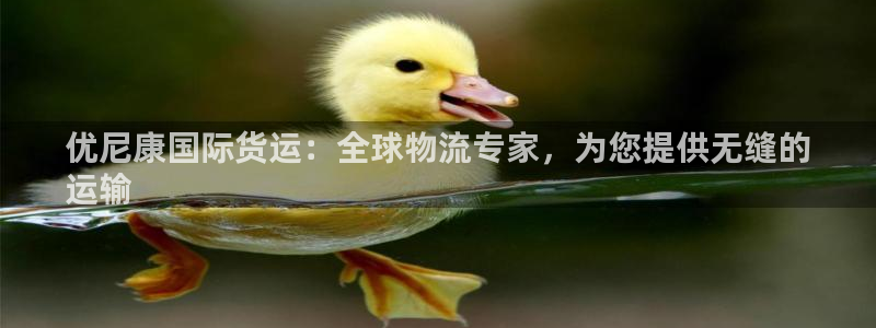 尊龙凯时 - 人生就是搏手机登录：优尼康国际货运：全球物
