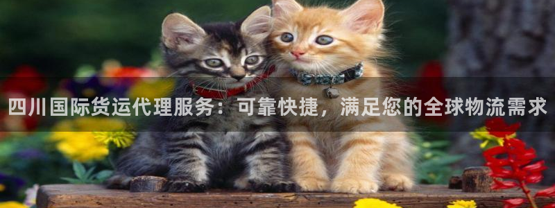 尊龙人生就是博官方官网：四川国际货运代理服务：可靠快捷，