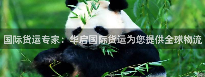 尊龙凯时是赌博嘛：国际货运专家：华启国际货运为您提供全球
