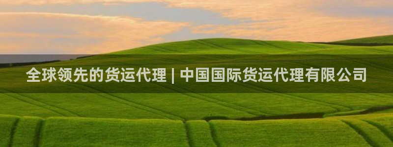 尊龙网址是选访问zd207：全球领先的货运代理 | 中国