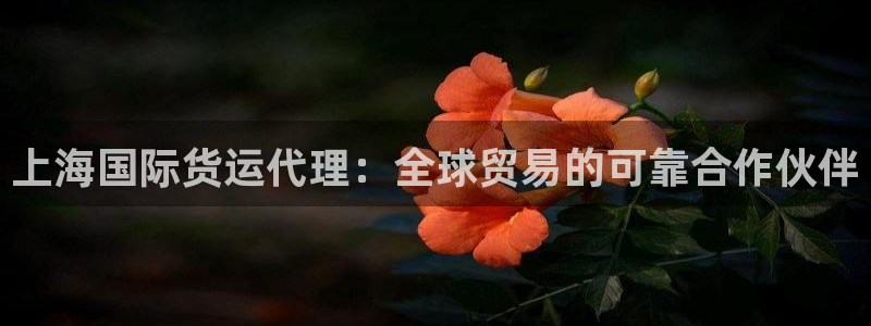 尊龙凯时公司官网：上海国际货运代理：全球贸易的可靠合作伙