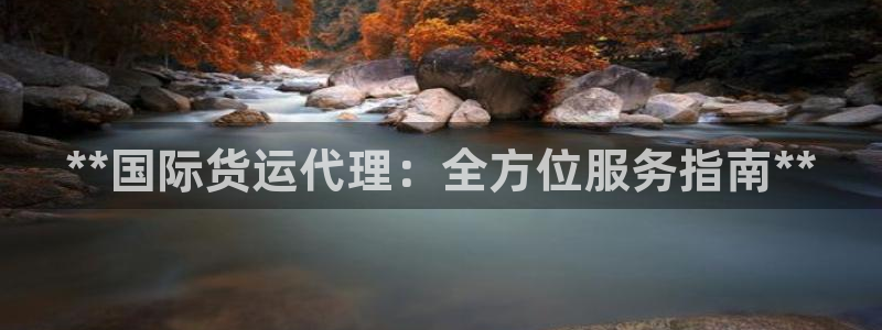 尊龙2016：**国际货运代理：全方位服务指南**