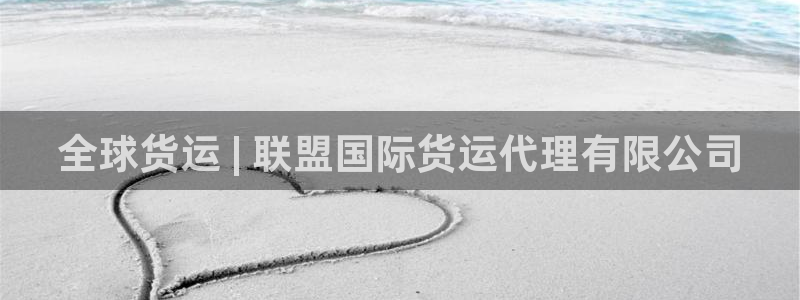 尊龙凯时集团：全球货运 | 联盟国际货运代理有限公司